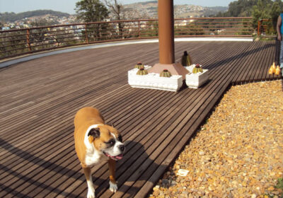 1345123596_Foto_01_076