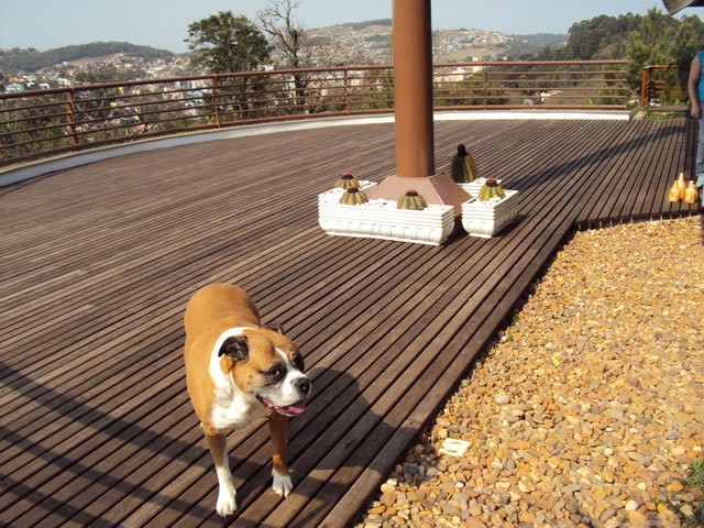 Deck em madeira