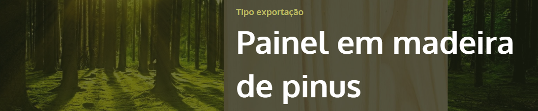 Banner da loja