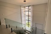 FACHADA GLAZING