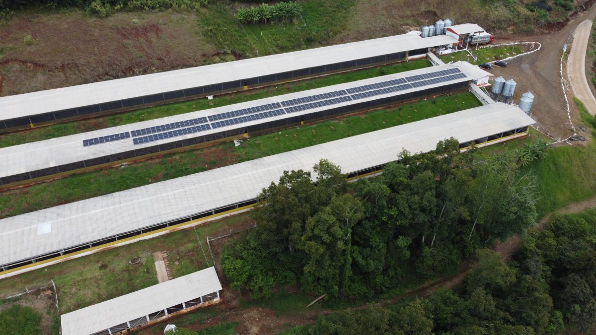 SERVIÇOS ESPECIALIZADOS EM ENERGIA SOLAR