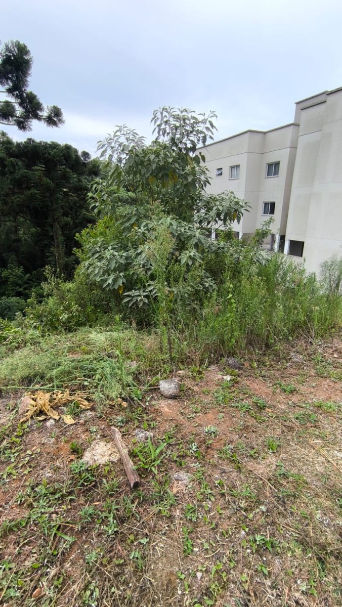 Venda de terreno